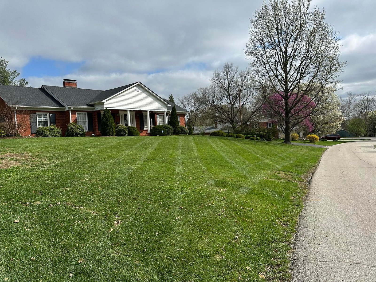 The 6-Week Overseeding Window Kentucky Lawns Can't Miss